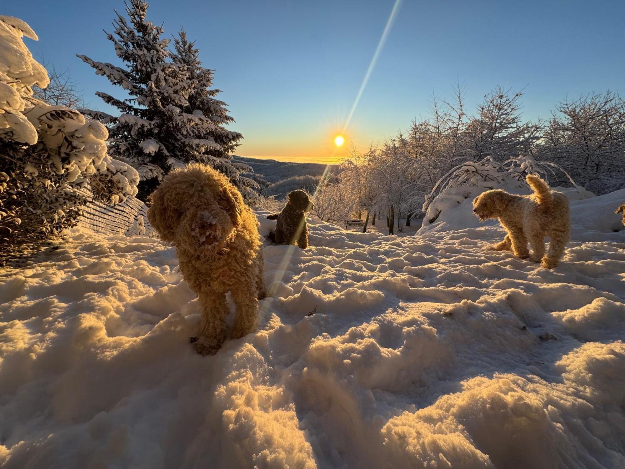 Guest House Lagotto'S Peak Radatovici Bagian luar foto