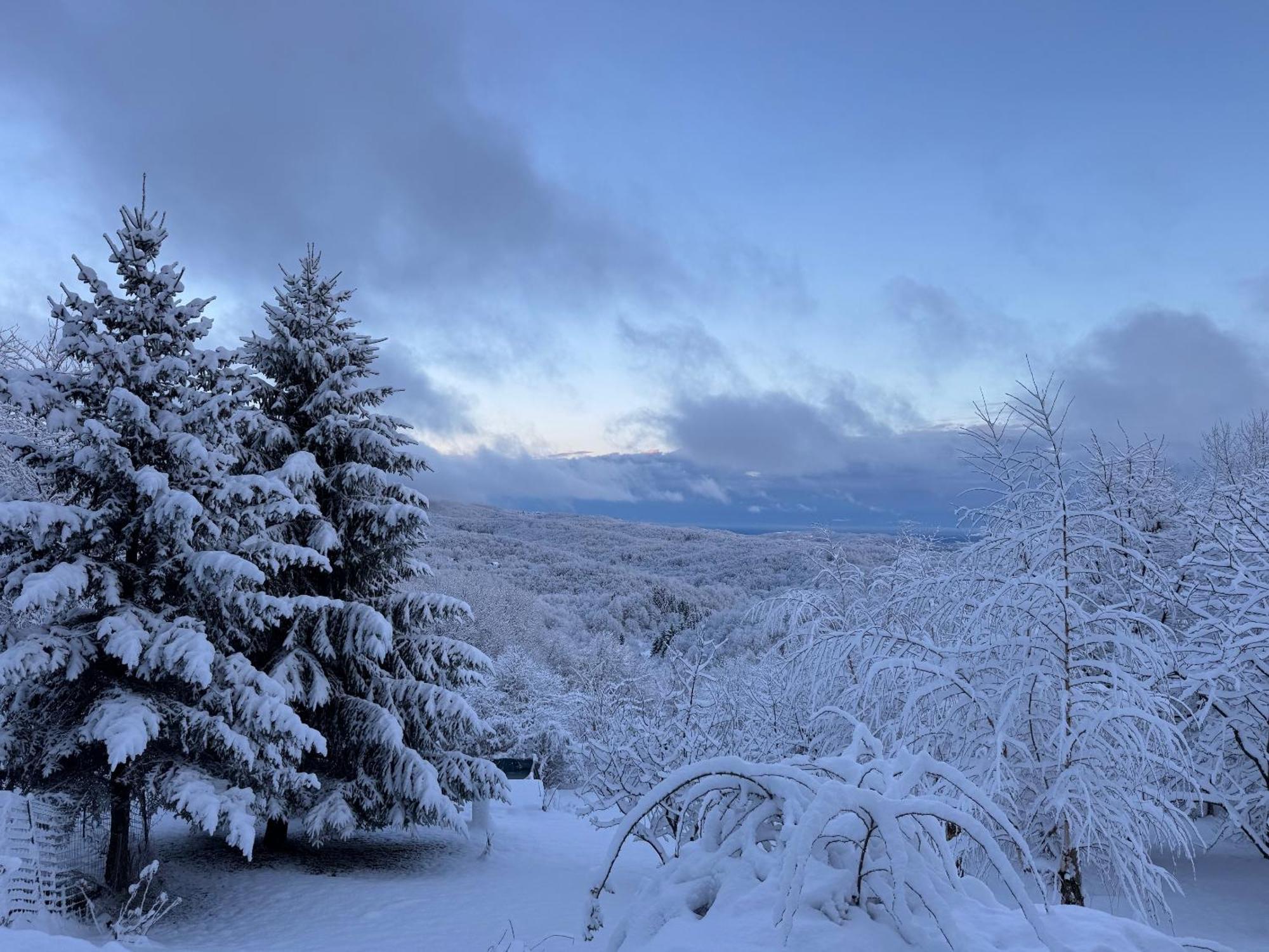 Guest House Lagotto'S Peak Radatovici Bagian luar foto
