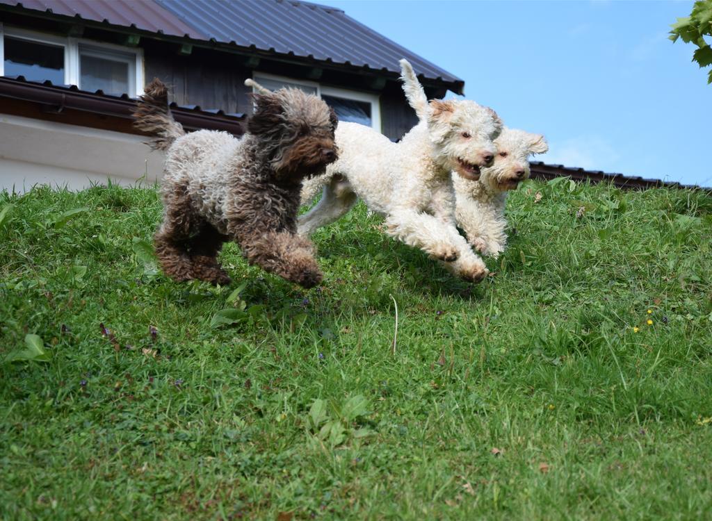 Guest House Lagotto'S Peak Radatovici Bagian luar foto