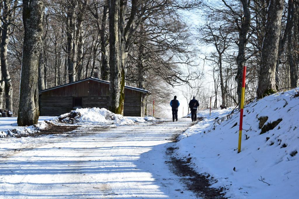 Guest House Lagotto'S Peak Radatovici Bagian luar foto