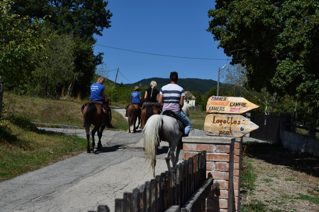 Guest House Lagotto'S Peak Radatovici Bagian luar foto